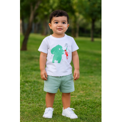 CONJUNTO BABY NIÑO REF 602-24005 BLANCO-VERDE