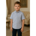 CAMISA RAYAS REF 6919